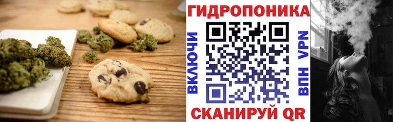 Купить закладки  Киржач  Печенье с ТГК конопля 